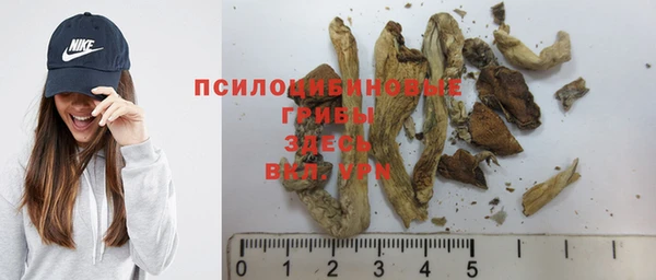 экстази Арсеньев