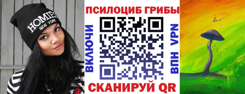 Псилоцибиновые грибы Psilocybine cubensis Омск